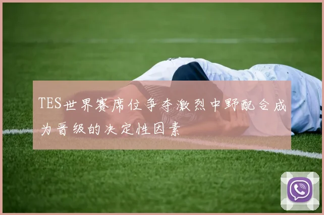 TES世界赛席位争夺激烈中野配合成为晋级的决定性因素